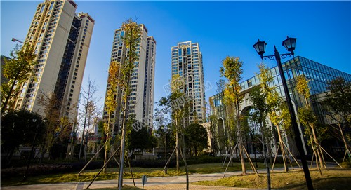 江语城小区花园秋天风景