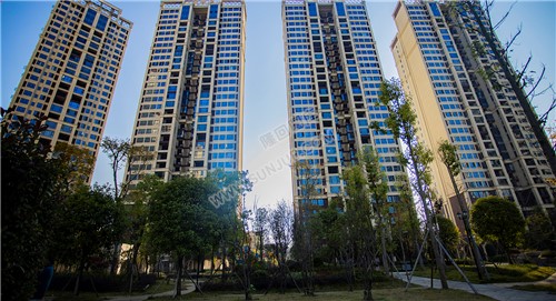 江语城小区花园秋天风景