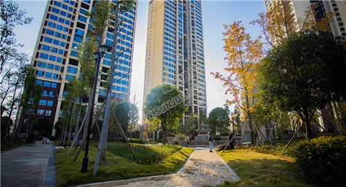 江语城小区花园秋天风景