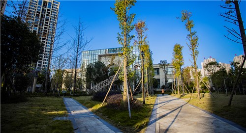 江语城小区花园秋天风景