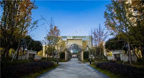 江语城小区花园秋天风景