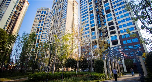 江语城小区花园秋天风景