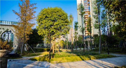 江语城小区花园秋天风景