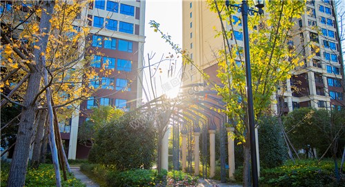 江语城小区花园秋天风景