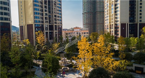 江语城小区花园秋天风景