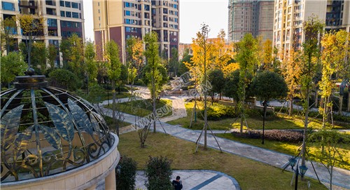 江语城小区花园秋天风景