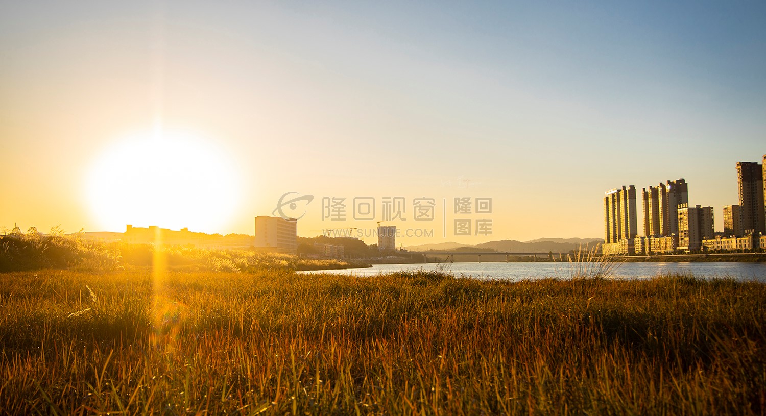 夕阳下的芦苇荡