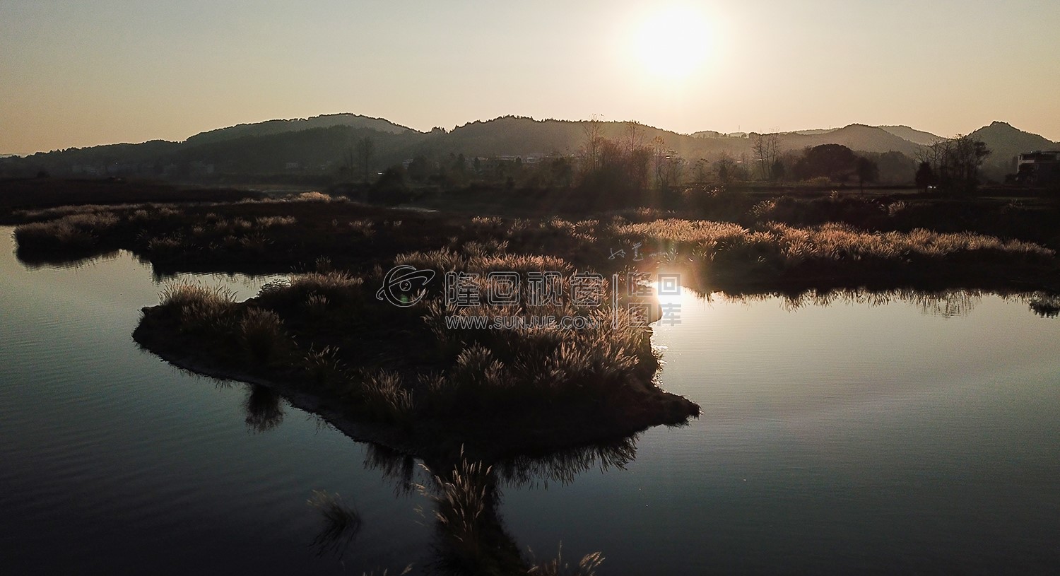 夕阳下的芦苇荡