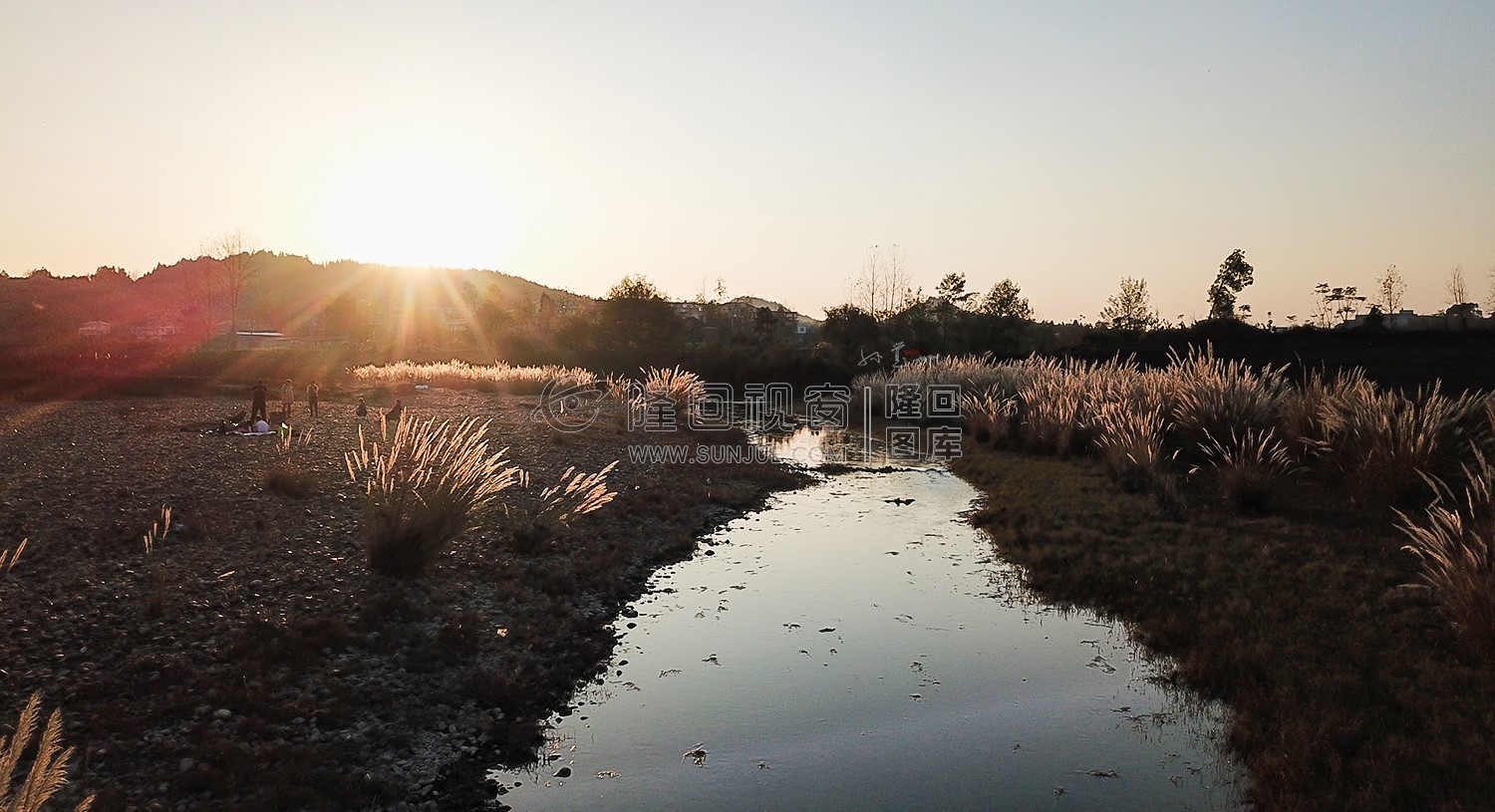 夕阳下的芦苇荡