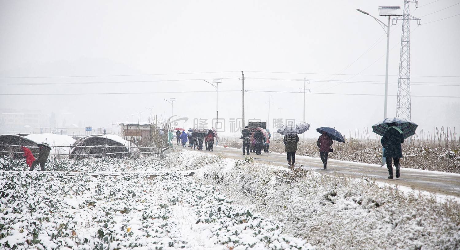 太平洲村的雪景