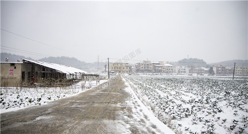 乡村雪景风光