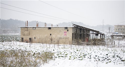 太平洲村的雪景