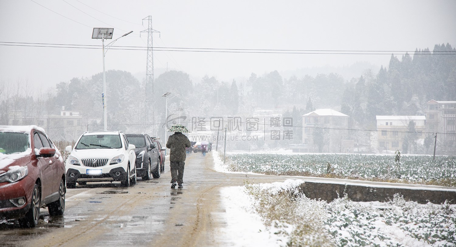 太平洲村的雪景
