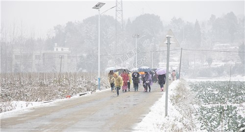 打着伞雪中行人