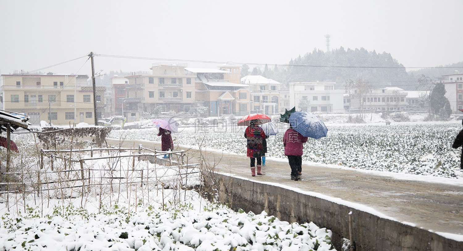 太平洲村的雪景