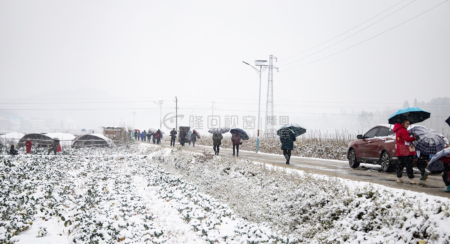 太平洲村的雪景