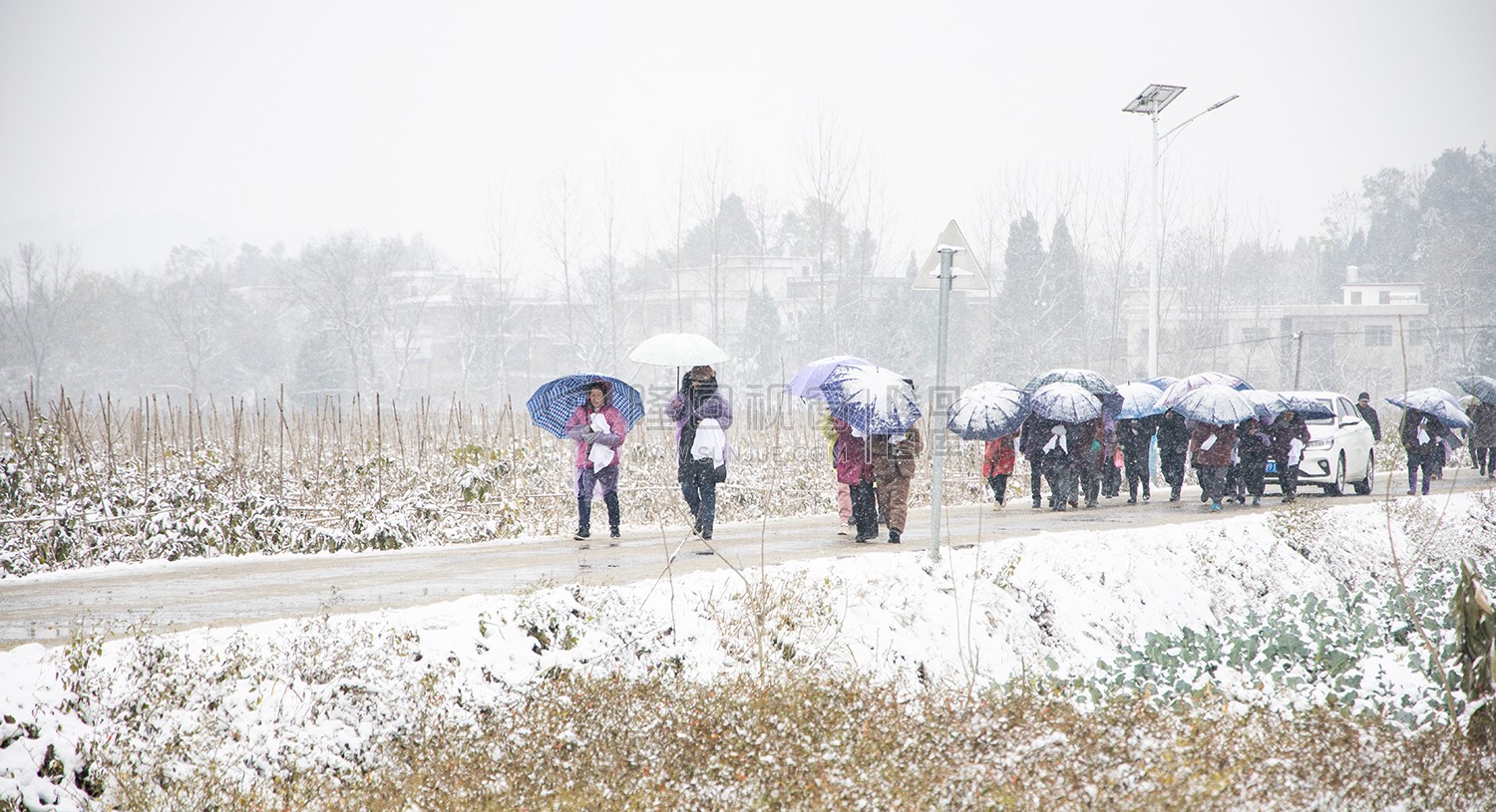 打着伞雪中行人