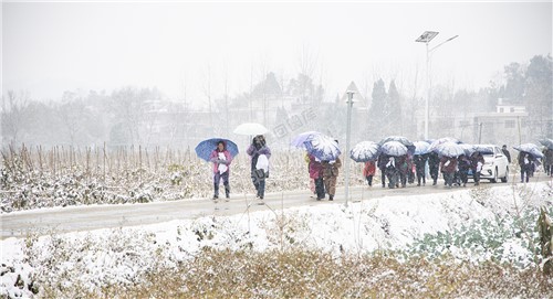 打着伞雪中行人