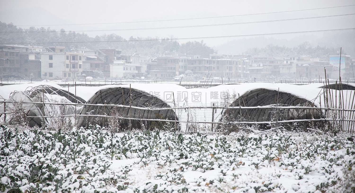 太平洲村的雪景