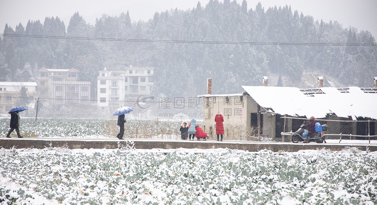 太平洲村的雪景