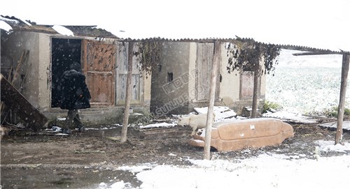 太平洲村的雪景