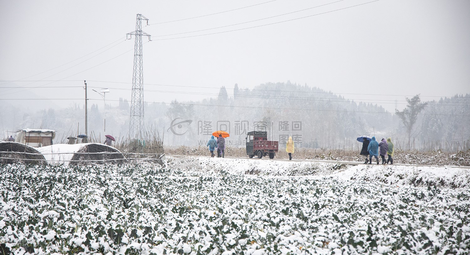 太平洲村的雪景