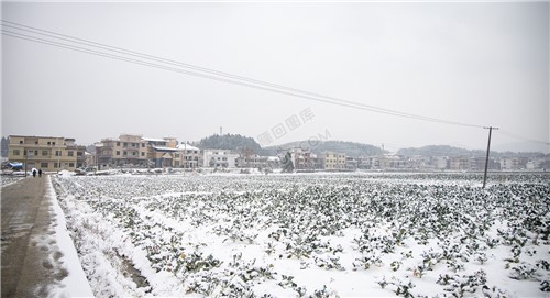 乡村雪景