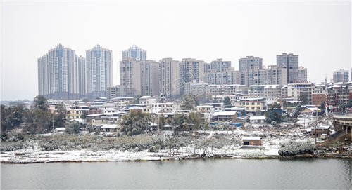 西城首府 方大桂花城