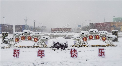 隆回高铁站雪景图