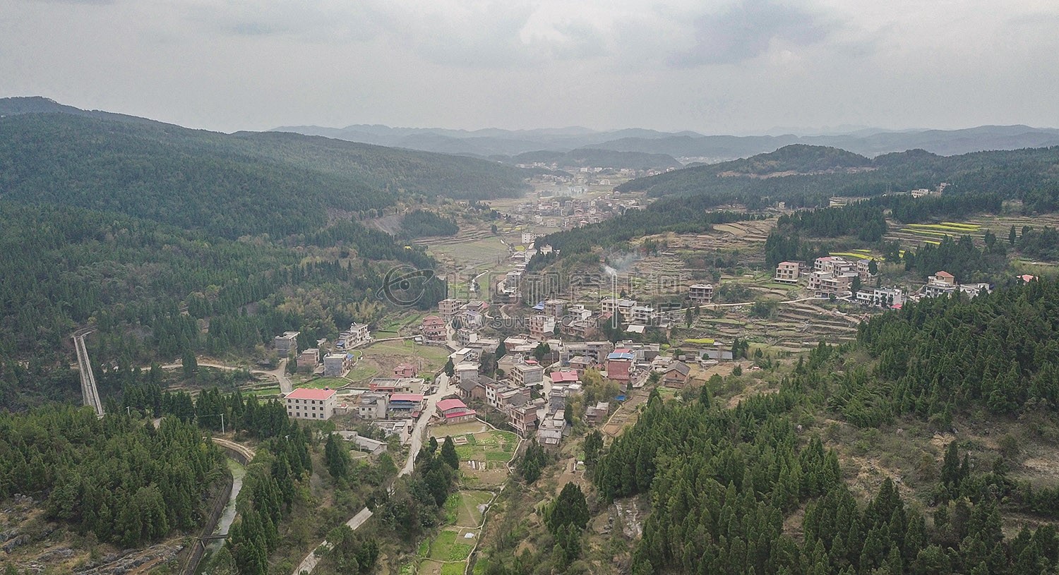 荷香桥镇长溪村，有个无花果基地
