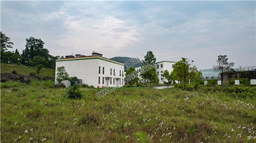 隆回凯迪生物发电厂，已经废弃的工厂