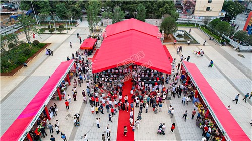 隆回县首届“邵阳红”手工制茶和茶艺技能大赛