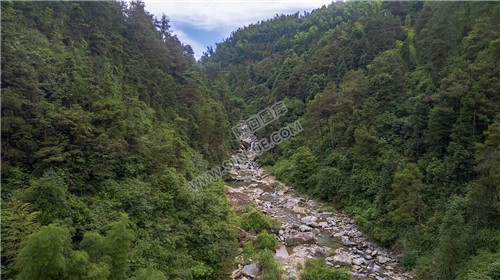 西山峡谷