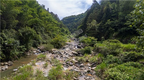 西山峡谷