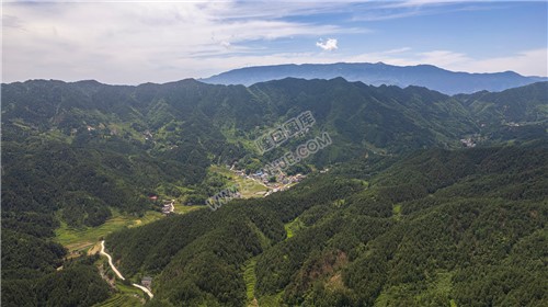 西山村