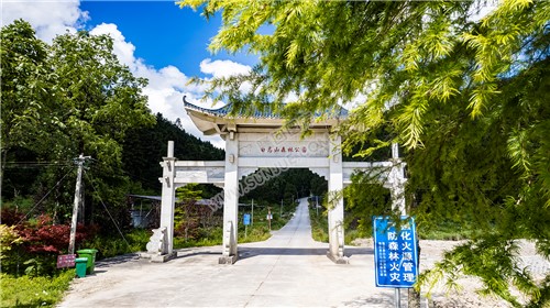 白马山森林公园牌坊