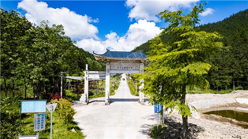 白马山森林公园牌坊