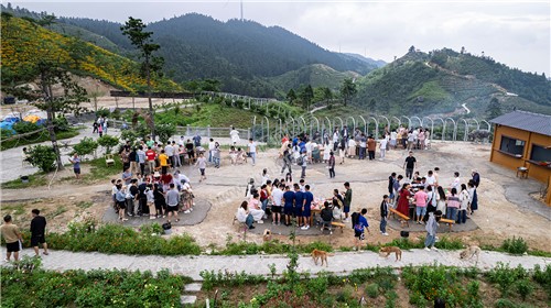 龙瑶幽谷举行近百对单身男女集体相亲大会