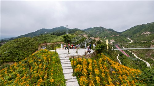 龙瑶幽谷举行近百对单身男女集体相亲大会