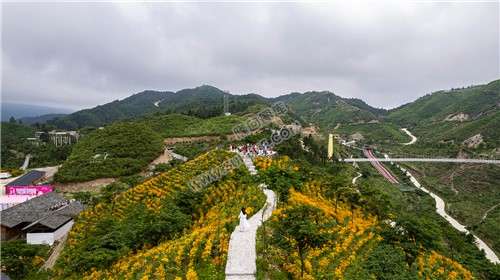 龙瑶幽谷举行近百对单身男女集体相亲大会