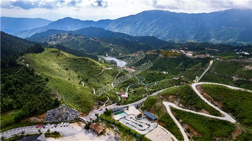 龙瑶幽谷举行近百对单身男女集体相亲大会