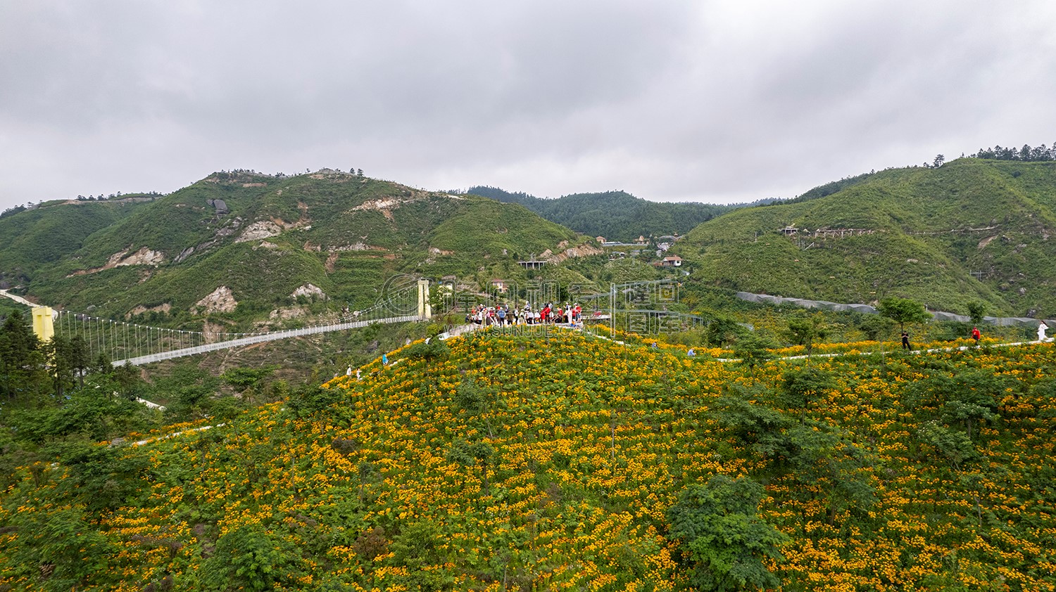 龙瑶幽谷举行近百对单身男女集体相亲大会