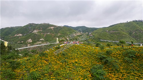 龙瑶幽谷举行近百对单身男女集体相亲大会