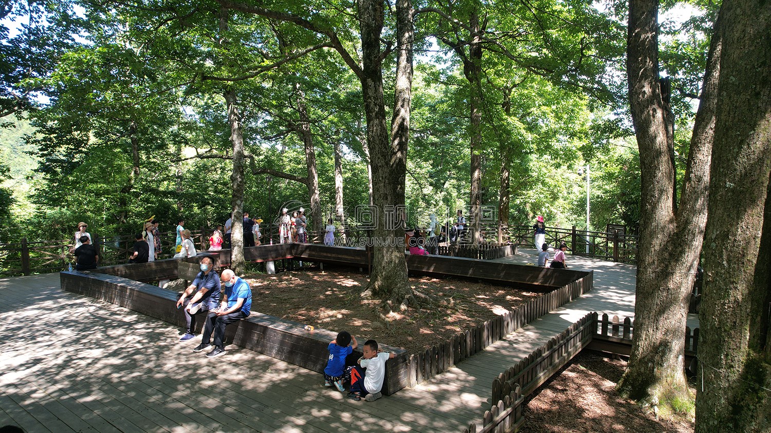 隆回崇木凼古树林