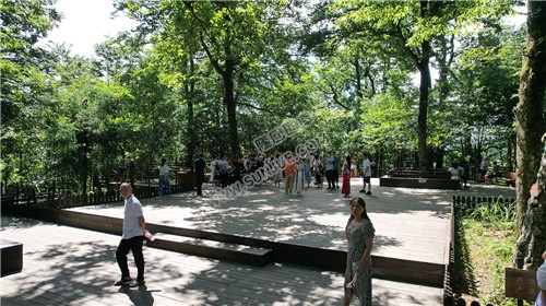 隆回崇木凼古树林