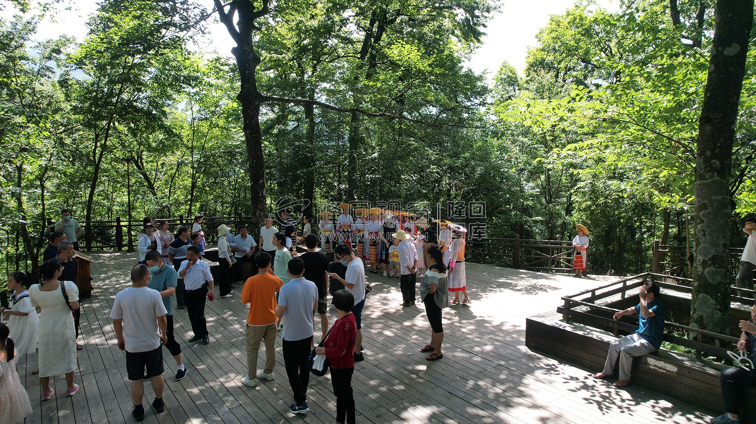 隆回崇木凼古树林