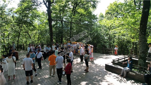 隆回崇木凼古树林