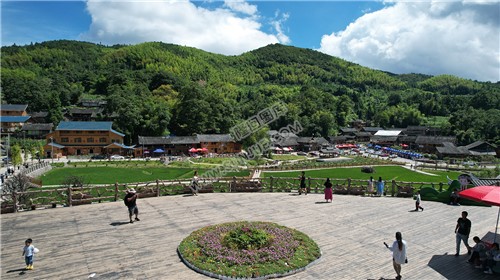 隆回崇木凼古树林