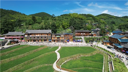 隆回崇木凼古树林