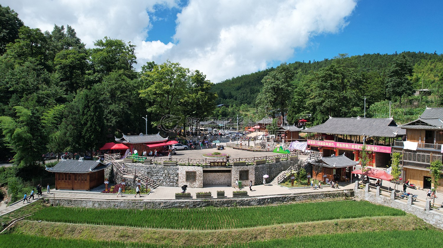 隆回崇木凼古树林